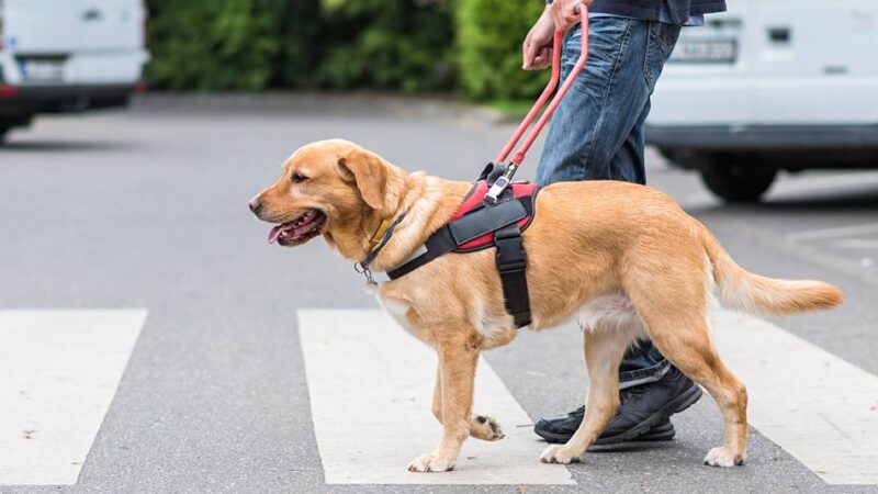 Treffen in Hilden: Verein berät Blinde und Sehbehinderte