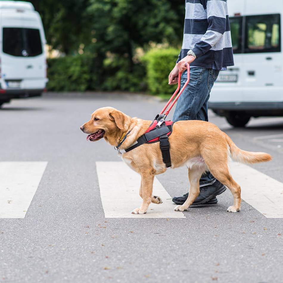 Treffen in Hilden: Verein berät Blinde und Sehbehinderte