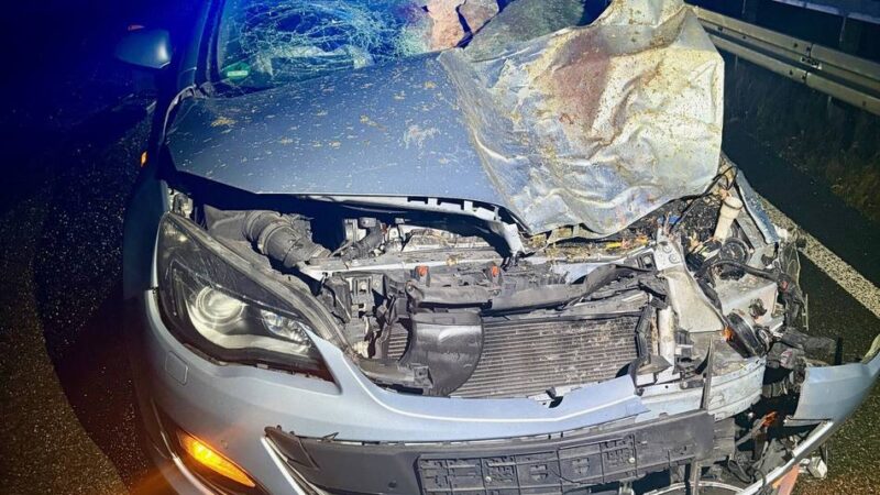 Einsätze in der Silvesternacht: Bilanz zum Jahreswechsel von Polizei und Feuerwehr