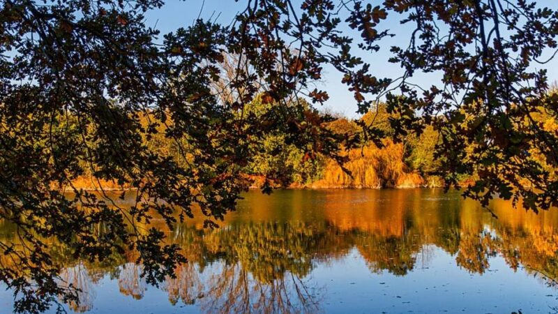 Neuer Wettbewerb gestartet: Kreis sucht die schönsten Bilder aus Meerbusch