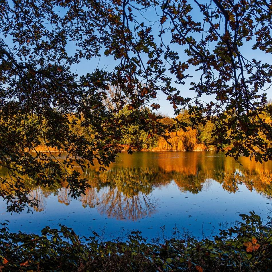 Neuer Wettbewerb gestartet: Kreis sucht die schönsten Bilder aus Meerbusch