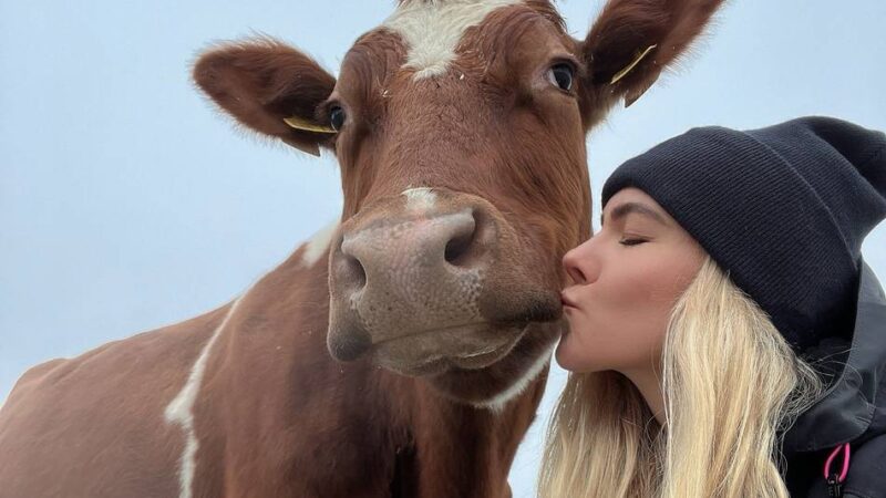 Instagram-Star Hecki die Kuh verlässt Neuss: Sag zum Abschied leise „muh“