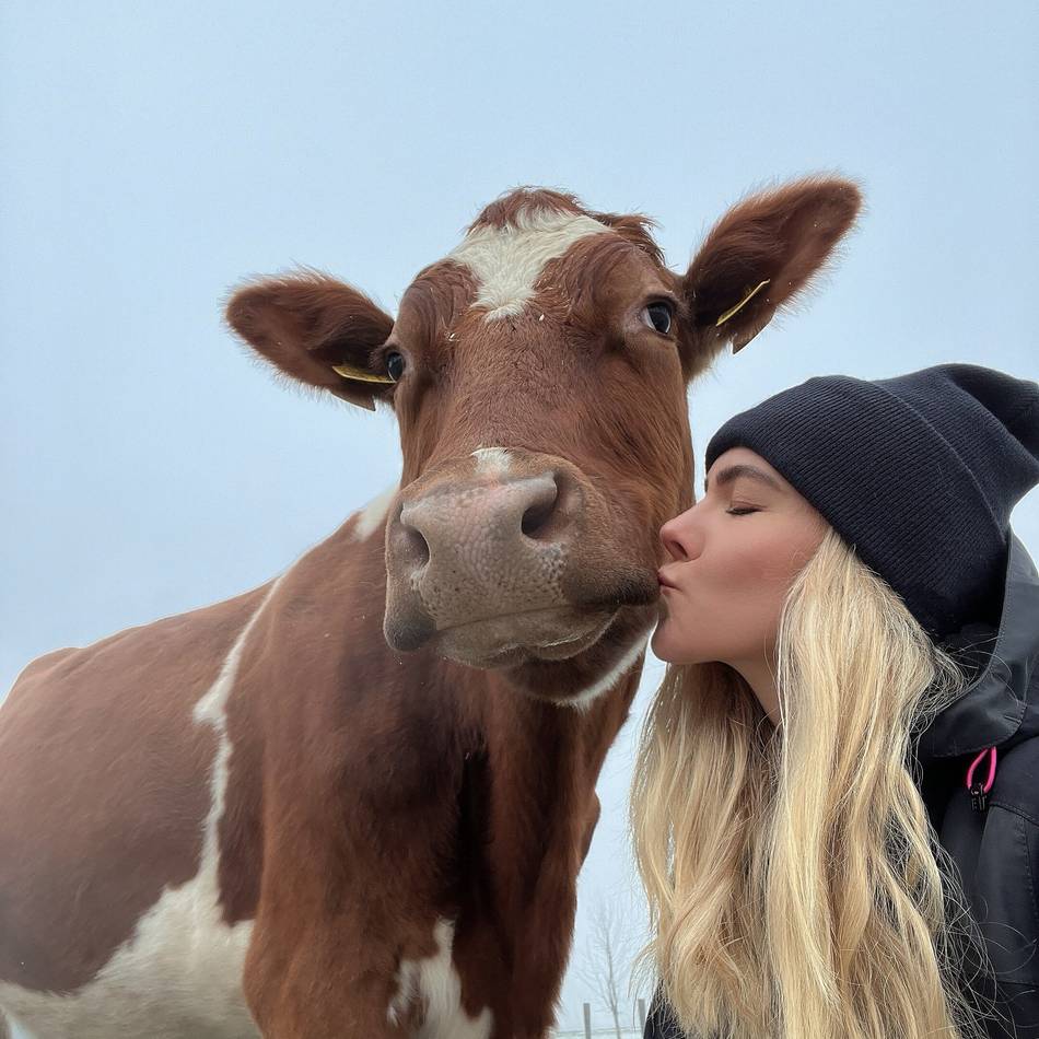 Instagram-Star Hecki die Kuh verlässt Neuss: Sag zum Abschied leise „muh“