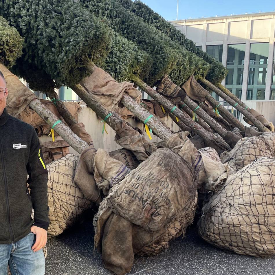 Aufbau der Blumenhalle ist gestartet: Landgard gestaltet die Blumenhalle auf der Grünen Woche in Berlin