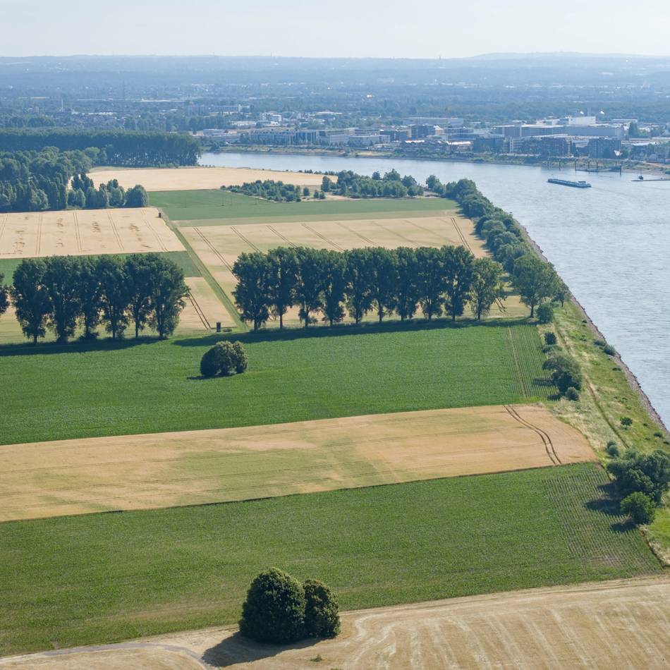 Rheinwassertransportleitung: RWE will dieses Jahr in Rheinfeld loslegen