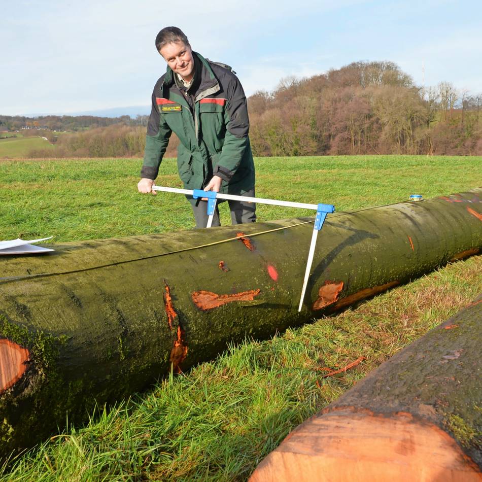 Förster Volker Steinhage unterstützt die privaten Waldbesitzer bei der Auswahl hiebreifer Baumstämme und beim Holzverkauf: Im Winter ist die Zeit der Holzernte gekommen