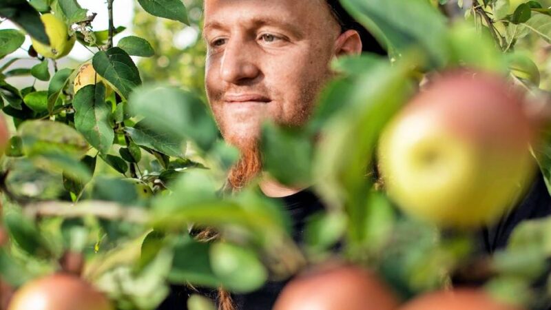 78 Events in Düsseldorf: Holt euch die Stadt zurück – „Unterwegs im Grünen“ startet wieder