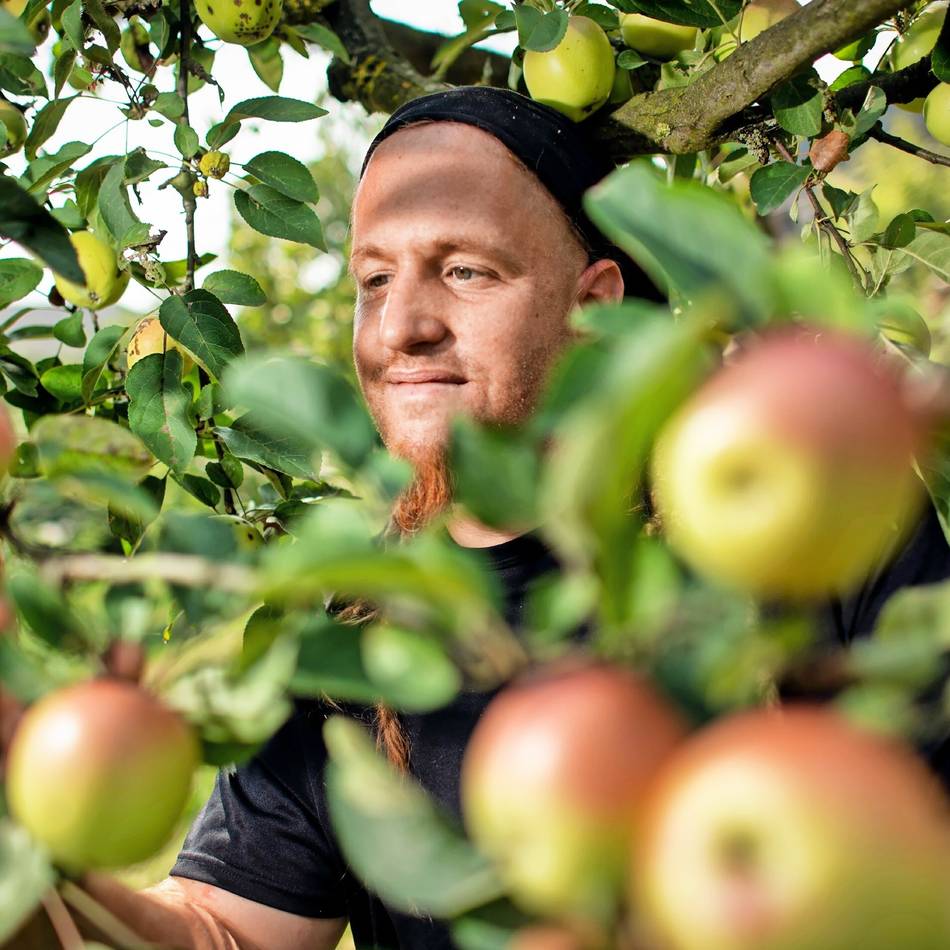 78 Events in Düsseldorf: Holt euch die Stadt zurück – „Unterwegs im Grünen“ startet wieder