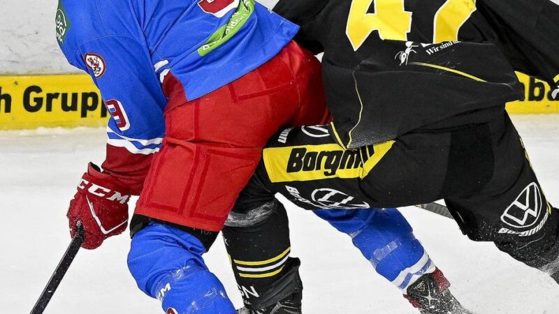 Drittes Duell mit Krefeld: „Die Jungs wollen“ – DEG vor wegweisendem Derby