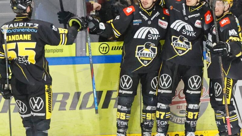 Erst die Pflicht, dann die Kür?: Warum die Pinguine in Kassel eine enorm schwere Aufgabe bewältigen müssen