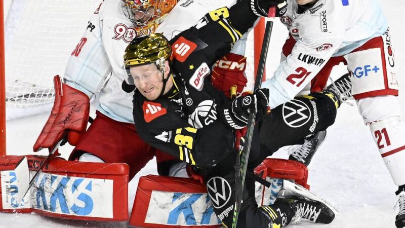 Max Newton nach dem Erfolg über die DEG: „Ich musste keine Sekunde über diese Entscheidung nachdenken“