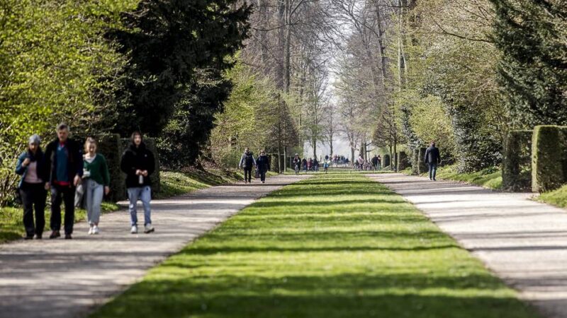 Klimawandel in Düsseldorf: Warum die Stadt wieder 96 Bäume fällen muss
