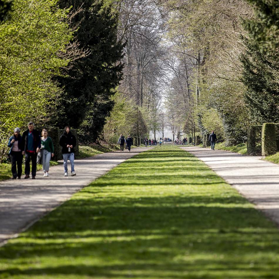 Klimawandel in Düsseldorf: Warum die Stadt wieder 96 Bäume fällen muss