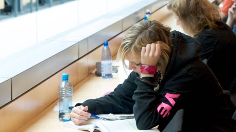 Beliebtes Studienland: Wo die Deutschen in den Niederlanden studieren