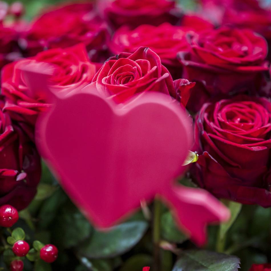 Veranstaltungen bis Ende März: Das sind die Düsseldorfer Valentinswochen