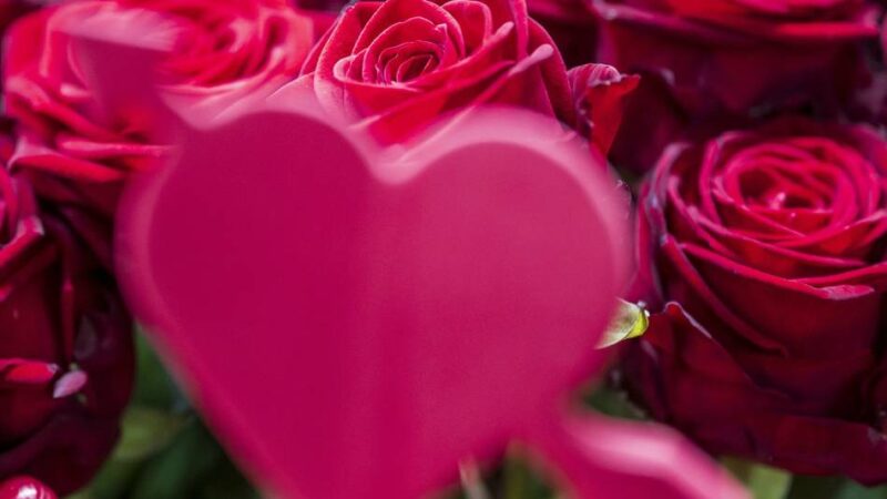 Date-Orte und Geschenke: Ideen für einen romantischen Valentinstag in Neuss