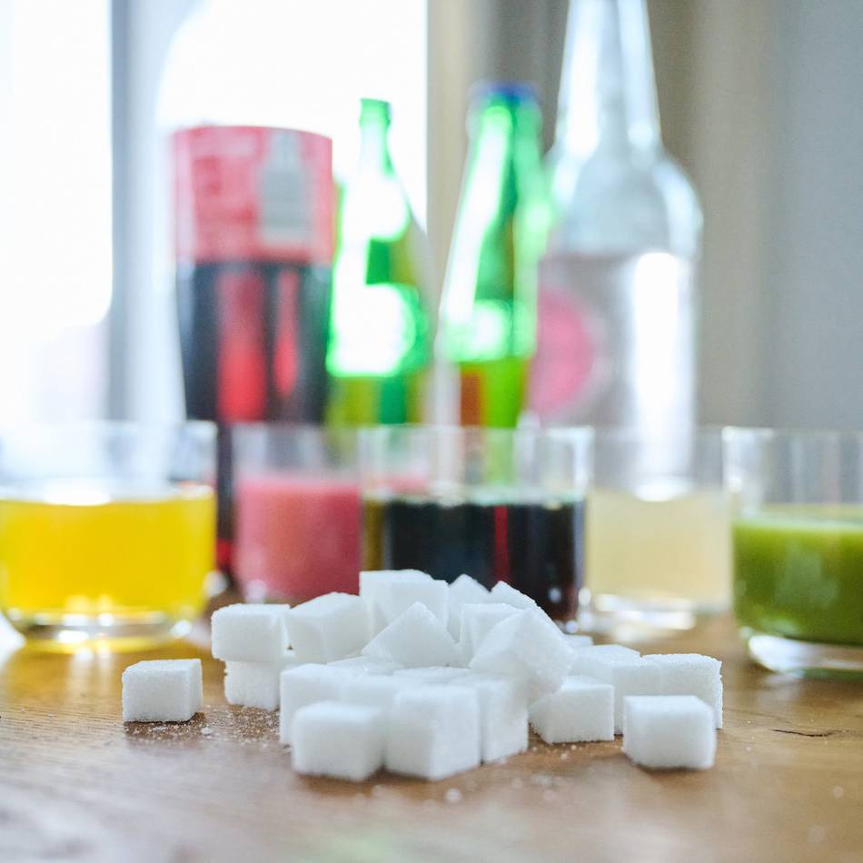 Vortrag in Meerbusch: „Die Wahrheit über Zucker“ bei der VHS entdecken