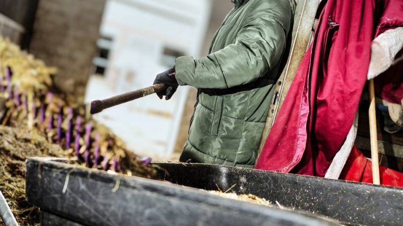 Landesreit und -fahrschule Langenfeld: Im Winter baut die Reitlehrerin auf Wärme auf Knopfdruck