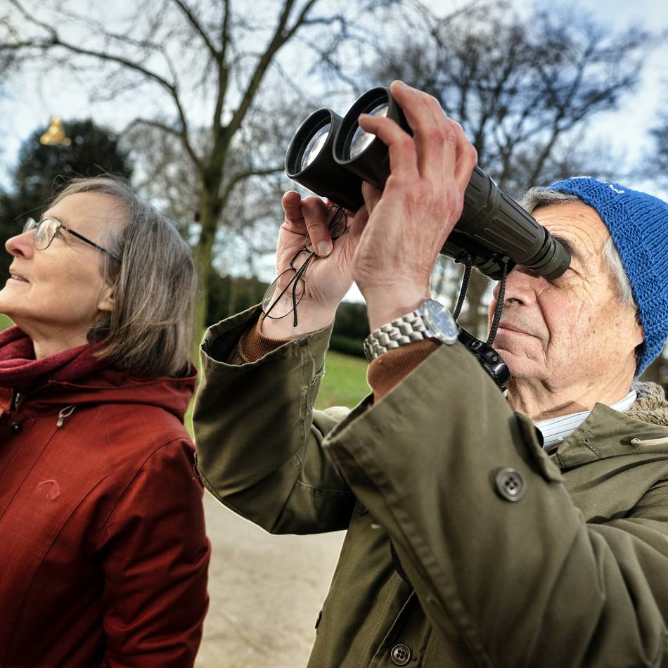 Nabu in Monheim lädt zur Zählung ein: Mit dem Fernglas den Wintervögeln im Marienburgpark auf der Spur