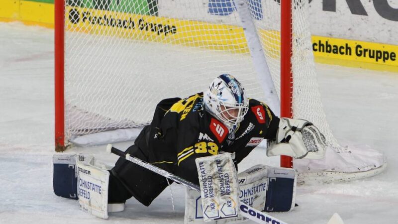 Goalie spricht über sein Comeback: Andere Anfrage abgelehnt – warum Danny aus den Birken sich für Krefeld entschied