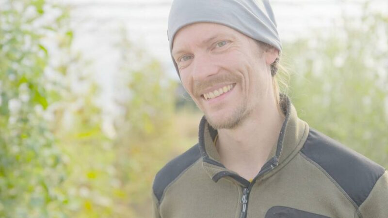 Vom Acker auf den Teller: Solidarische Landwirtschaft in Kleve sucht dringend neue Mitglieder