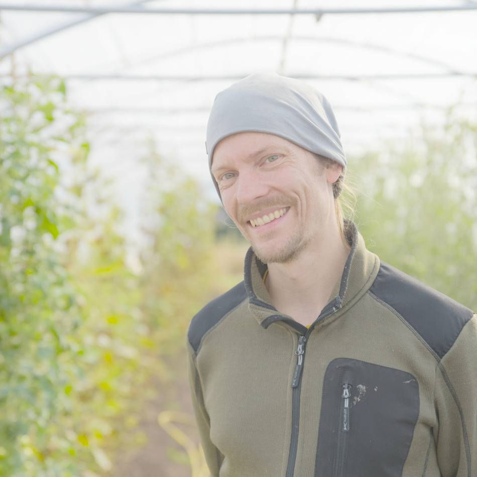 Vom Acker auf den Teller: Solidarische Landwirtschaft in Kleve sucht dringend neue Mitglieder