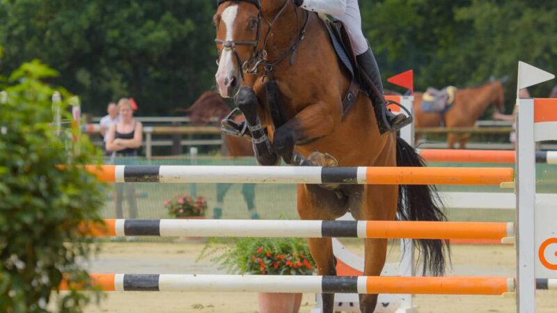 Dreitägiges Event: So wird der Keppelner Hötzenhof zum Nabel des Springsports