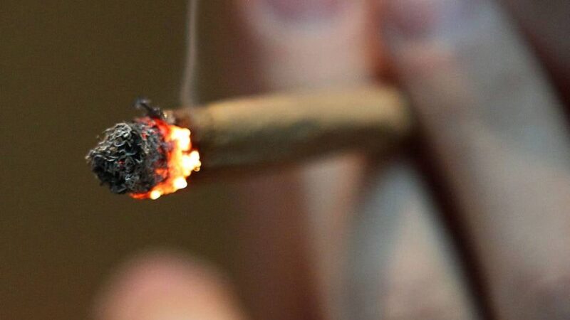 Verdacht auf illegale Blüten: Cannabis-Shops in Dormagen und Hamburg durchsucht