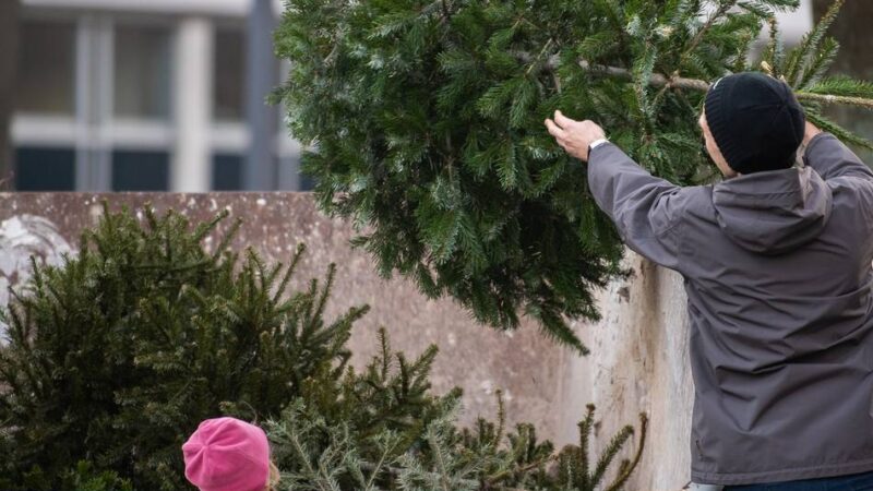 Kommende Woche: Wie die Erkelenzer ihre Weihnachtsbäume entsorgen können