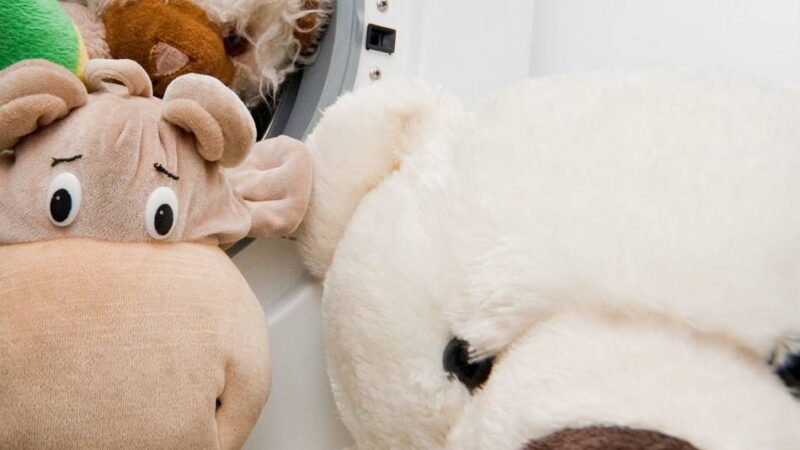 Nettetaler starten Aufruf: Feierkreis sammelt alte Kuscheltiere für Karneval