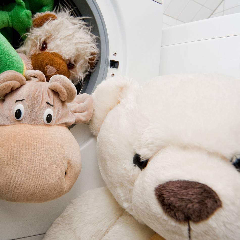 Nettetaler starten Aufruf: Feierkreis sammelt alte Kuscheltiere für Karneval