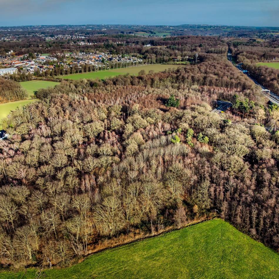 Politik in Langenfeld: Stadt will ihren Wald mehr für Freizeit und Bildung nutzen