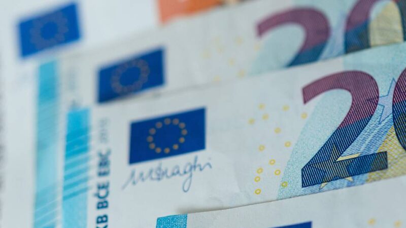 Erschossener Kater bei Clörath gefunden: Peta setzt 1000 Euro Belohnung für Hinweise aus