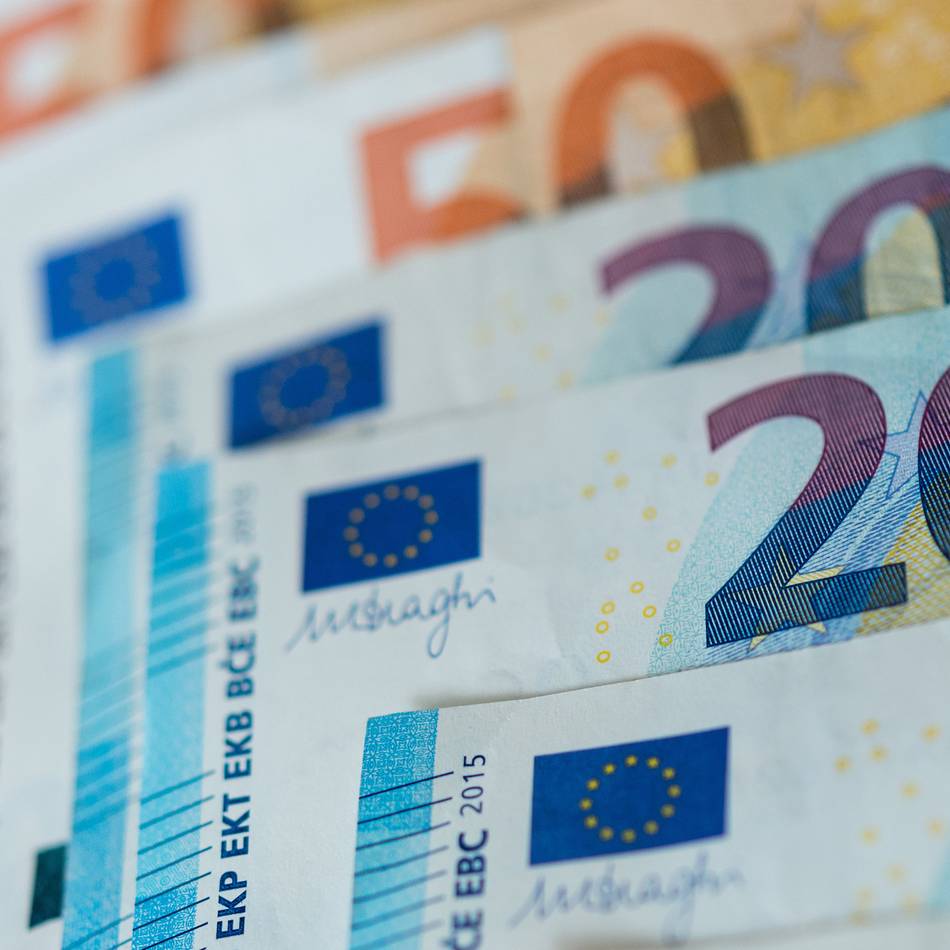 Erschossener Kater bei Clörath gefunden: Peta setzt 1000 Euro Belohnung für Hinweise aus