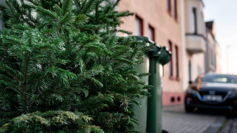 Termine in Willich: Wann die Weihnachtsbäume abgeholt werden
