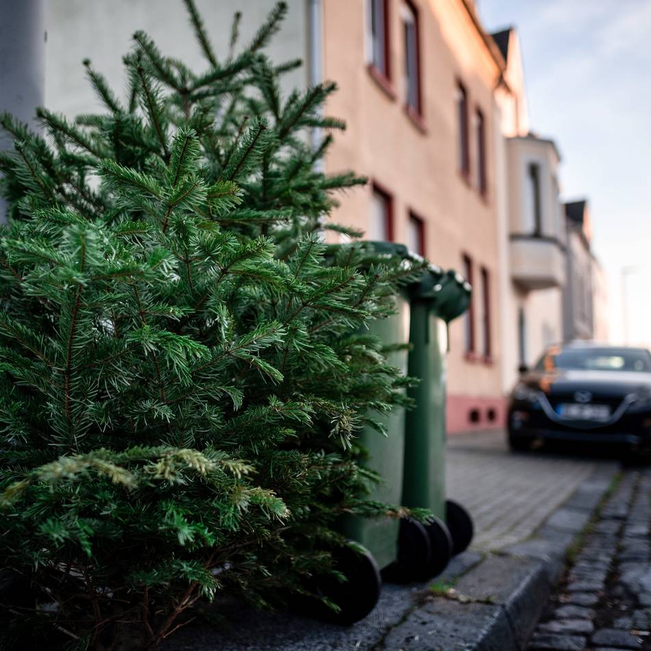 Termine in Willich: Wann die Weihnachtsbäume abgeholt werden