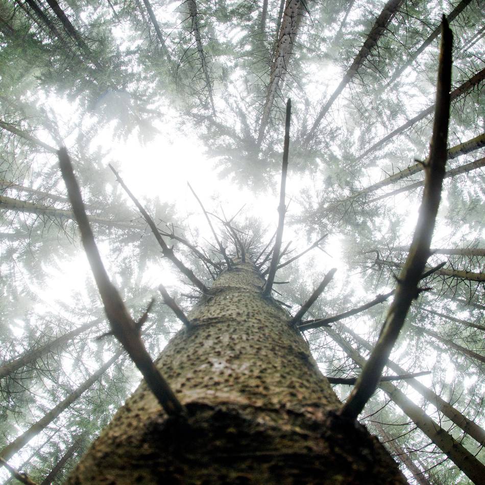 Umweltpreis von Rhein-Kreis Neuss, Speira und NGZ: Bühne frei für lokale Umweltprojekte – jetzt bewerben!