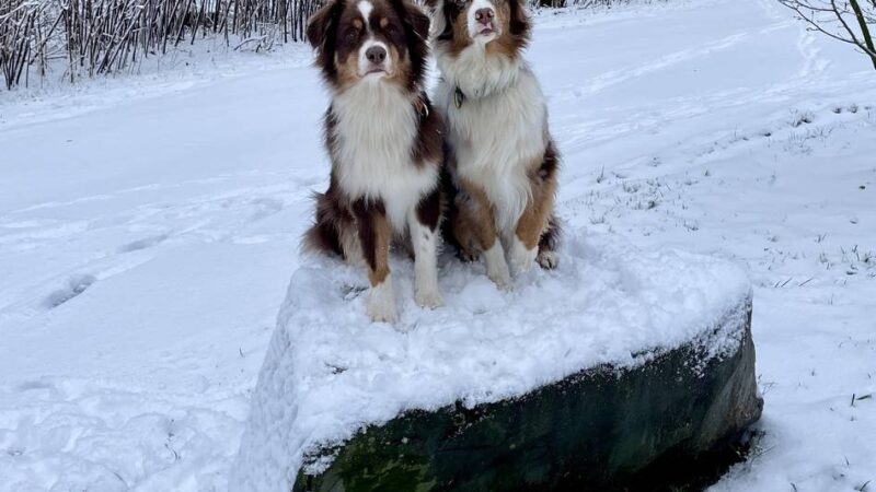 Wintereinbruch in Wermelskirchen: Der erste Schnee des Jahres