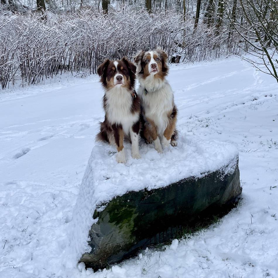 Wintereinbruch in Wermelskirchen: Der erste Schnee des Jahres
