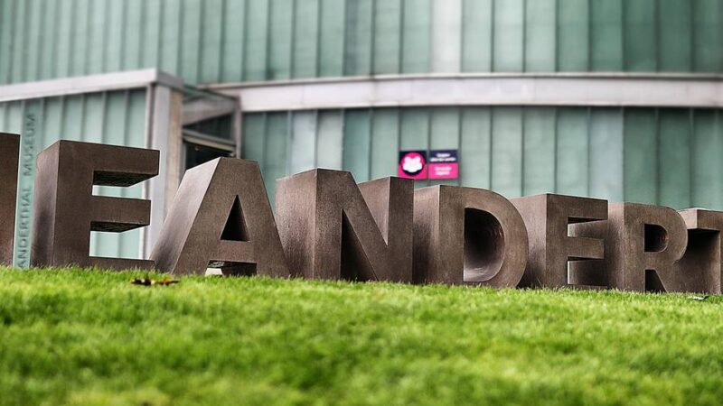 Kooperation in Mettmann: Das Neanderthal Museum und das Berufskolleg sind nun Bildungspartner