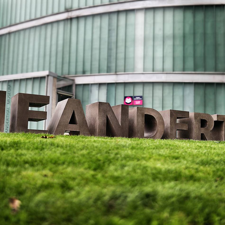 Kooperation in Mettmann: Das Neanderthal Museum und das Berufskolleg sind nun Bildungspartner