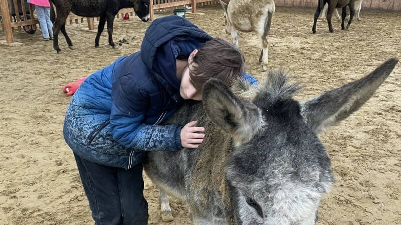 Tierisches aus Hückeswagens Nachbarstadt Wipperfürth: Empathisch statt stur – auf Kuschelkurs mit Eseln