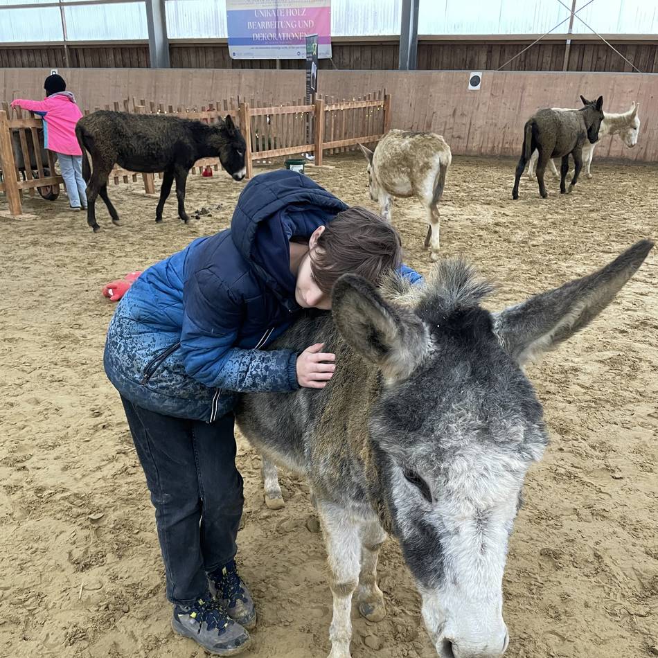 Tierisches aus Hückeswagens Nachbarstadt Wipperfürth: Empathisch statt stur – auf Kuschelkurs mit Eseln