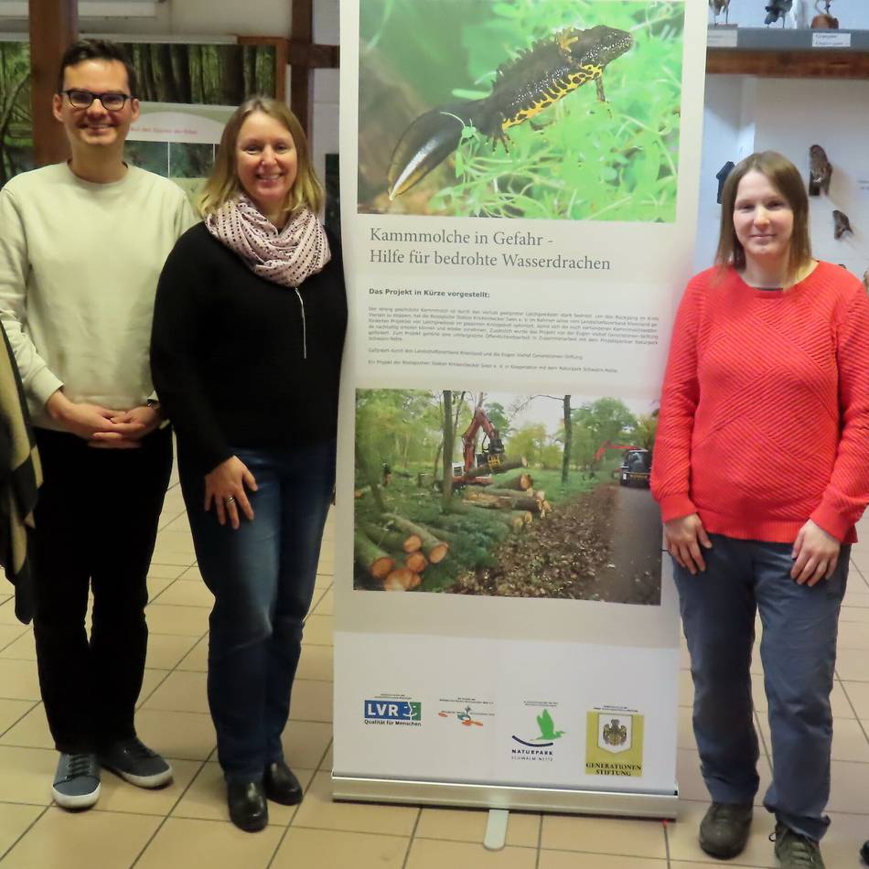 Biologische Station in Nettetal: Bedrohte Wasserdrachen – Ausstellung informiert über Kammmolche
