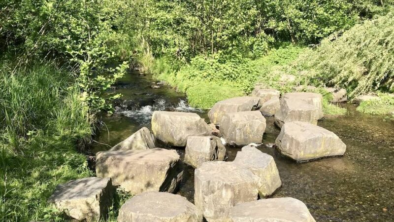 Aus dem Kreis Heinsberg: Naturpark Schwalm-Nette legt neuen Veranstaltungskalender vor