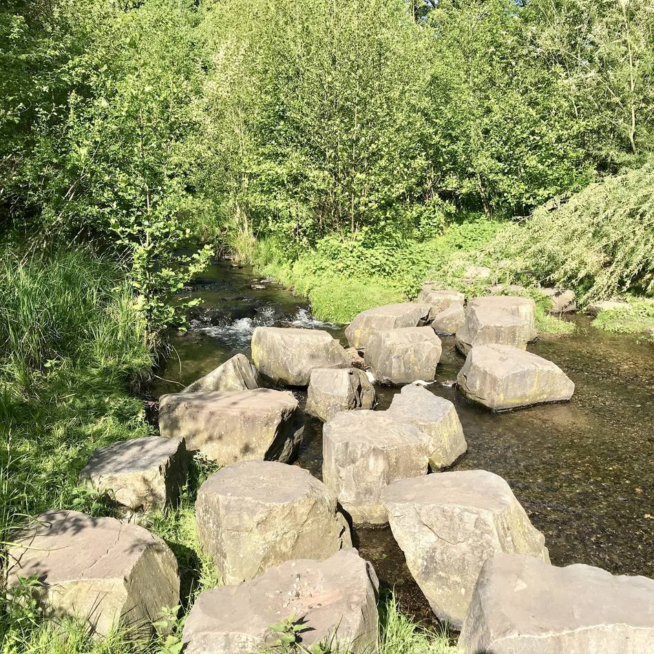 Aus dem Kreis Heinsberg: Naturpark Schwalm-Nette legt neuen Veranstaltungskalender vor