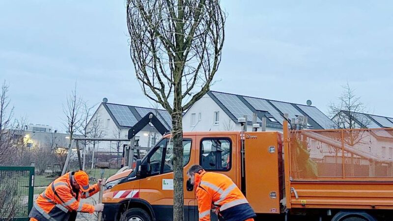 Klimafolgenanpassung in Langenfeld: Stadt pflanzt Schattenbäume an vier Spielplätzen