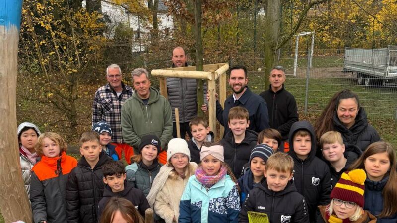 Mit Bürgermeister Philipp Richter: Grundschüler pflanzen einen Baum auf dem Budberger Schulhof