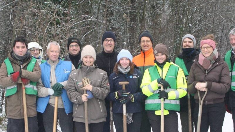 Initiative „Mehr Bäume jetzt“: Der Kreis Viersen verschenkt Baum- und Strauchsetzlinge