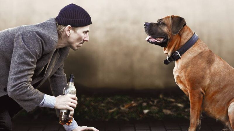 Theater in Radevormwald: Kult-Roman kommt auf die Bühne des Bürgerhauses